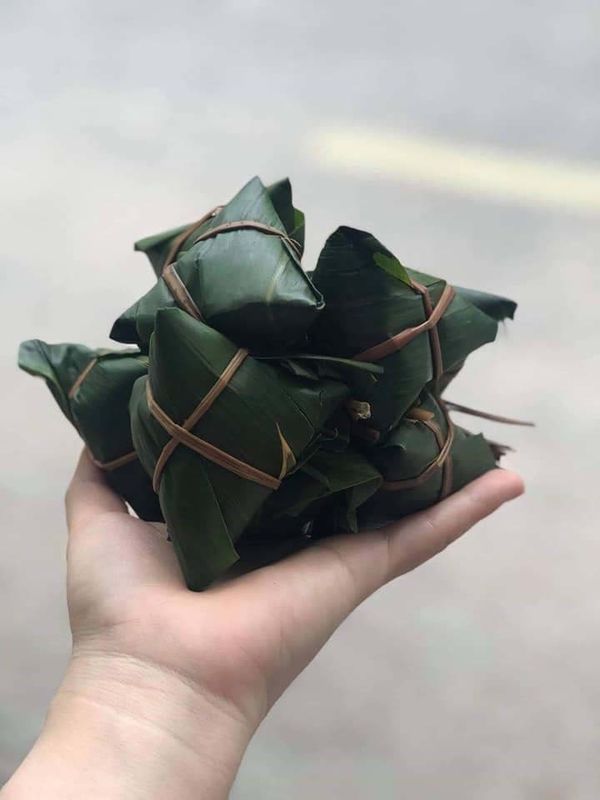 Naturalny zielony aktywny polisacharyd 35 cm świeże liście bambusa
