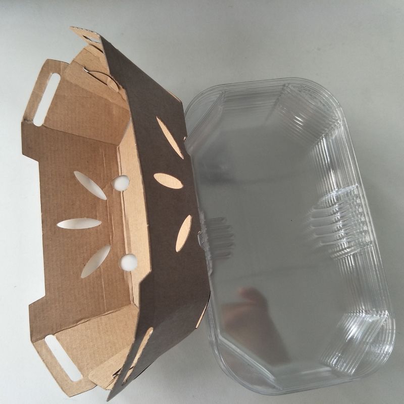Recyklingowa taca na owoce o gramaturze 350 g / m2 z pokrywką PET